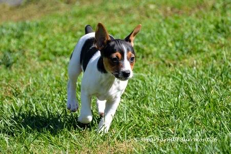 Enlarge photo 92