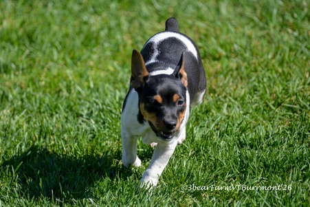 Enlarge photo 79