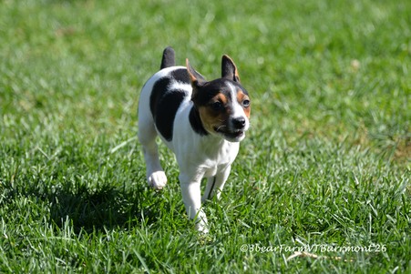 Enlarge photo 11