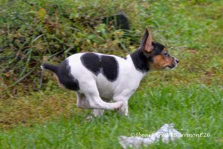 Enlarge photo 801