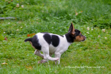 Enlarge photo 798