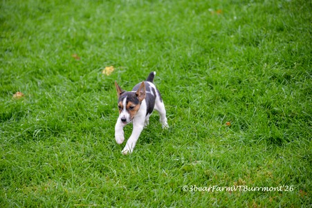 Enlarge photo 757