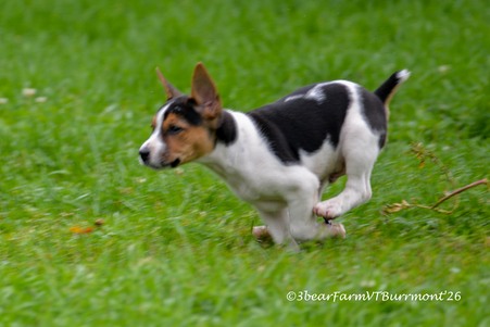 Enlarge photo 681