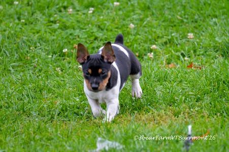 Enlarge photo 643