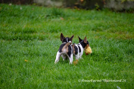 Enlarge photo 614