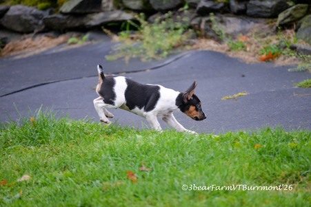 Enlarge photo 562