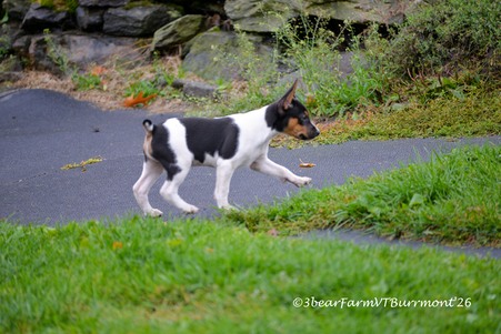 Enlarge photo 561