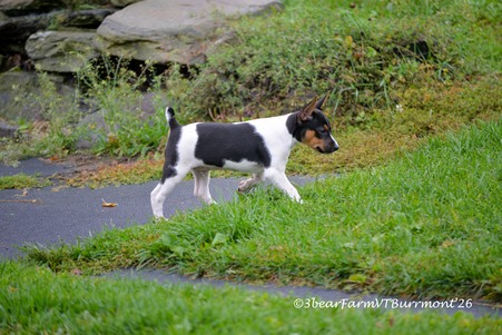 Enlarge photo 557