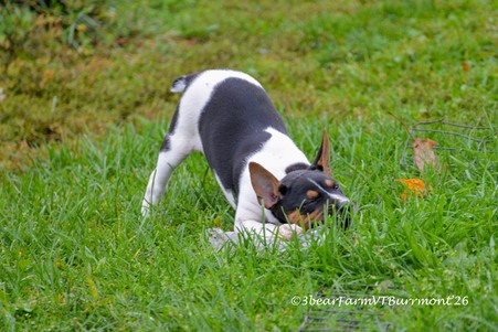 Enlarge photo 546