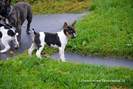 Enlarge photo 517