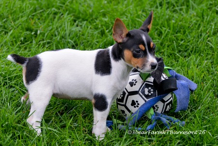 Enlarge photo 483