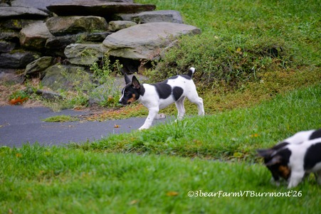 Enlarge photo 295