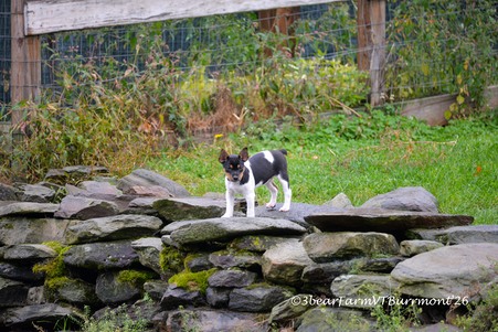 Enlarge photo 282