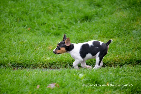 Enlarge photo 251