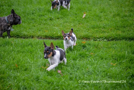 Enlarge photo 182