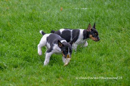 Enlarge photo 172