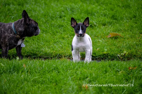 Enlarge photo 165