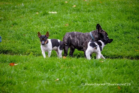 Enlarge photo 149