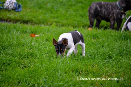 Enlarge photo 140