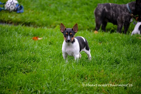 Enlarge photo 134