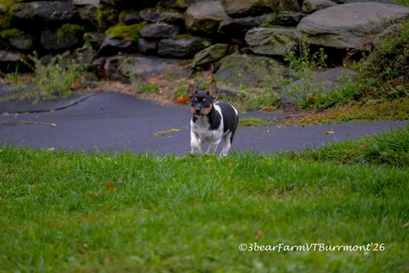 Enlarge photo 115