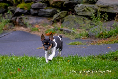 Enlarge photo 114