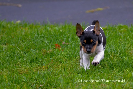 Enlarge photo 111