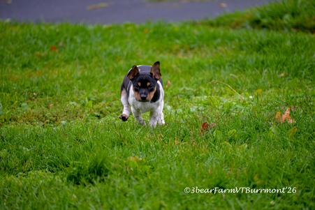 Enlarge photo 107