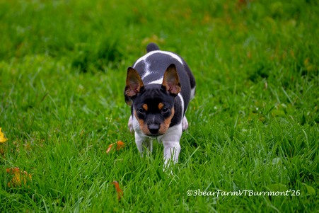Enlarge photo 103