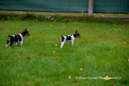 Enlarge photo 51