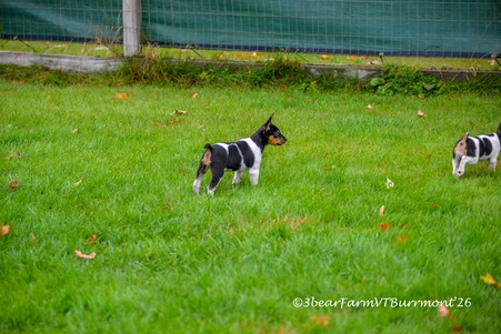 Enlarge photo 49