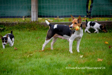 Enlarge photo 37