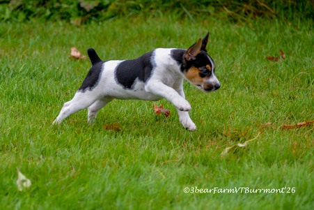 Enlarge photo 36