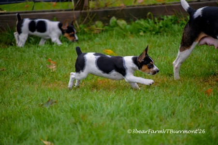 Enlarge photo 32