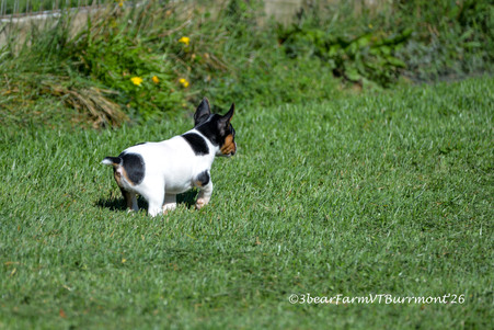 Enlarge photo 685