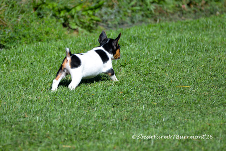 Enlarge photo 684