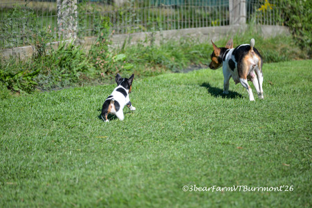 Enlarge photo 683