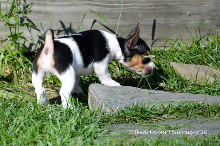 Enlarge photo 632