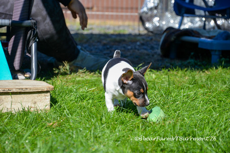 Enlarge photo 544