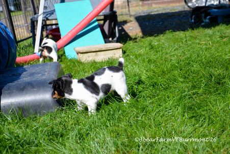 Enlarge photo 174