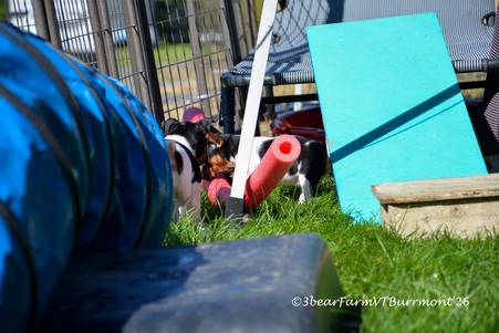 Enlarge photo 161