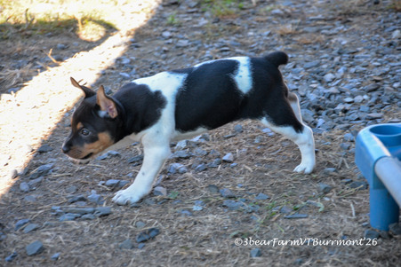 Enlarge photo 139
