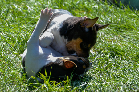 Enlarge photo 95