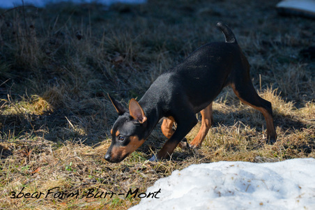 Enlarge photo 205
