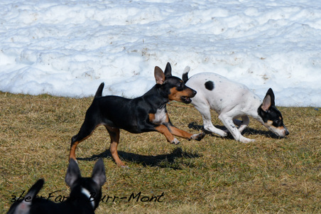 Enlarge photo 180