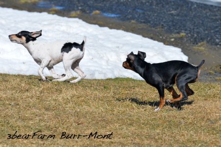 Enlarge photo 179