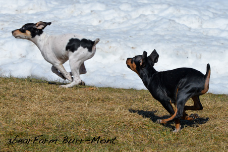 Enlarge photo 178