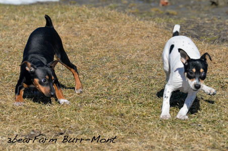 Enlarge photo 176