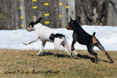 Enlarge photo 174