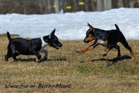 Enlarge photo 167